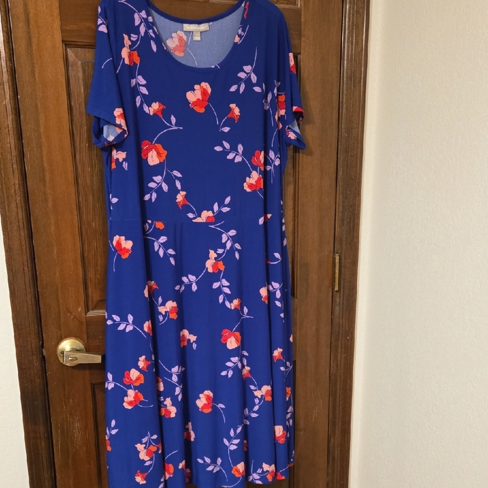 Woman Within Blue Short Sleeved Dress